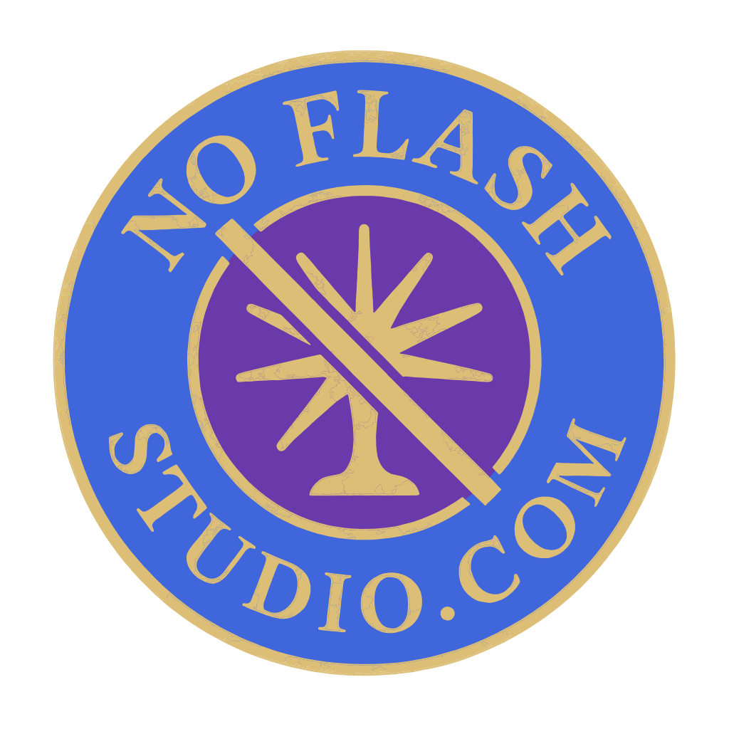 NoFlashStudio.com Logo